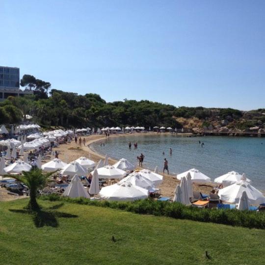 Queen Aphrodite Hotel Karpasa Esterno foto